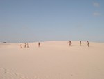 DSCN5147.JPG