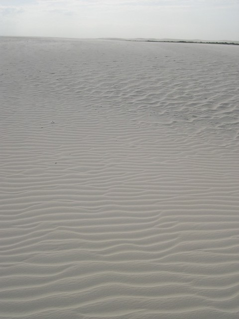 DSCN5148.JPG