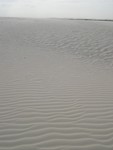DSCN5148.JPG