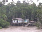 Bewohner der Rio Tocantins, etwa 150km vor Belem.