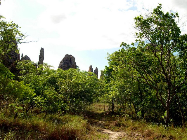 DSCN0065.JPG